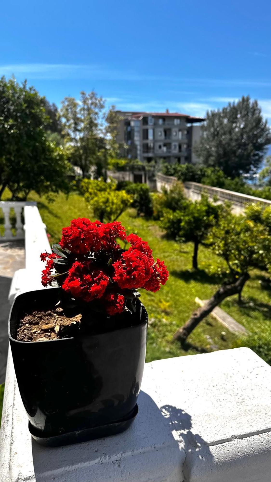 Villa Mare - For Families & Groups Вльора Екстер'єр фото